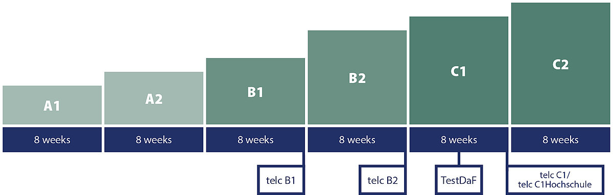 Carl Duisberg Course System: Average time required to complete the level